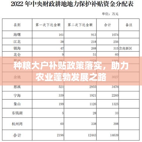 种粮大户补贴政策落实，助力农业蓬勃发展之路