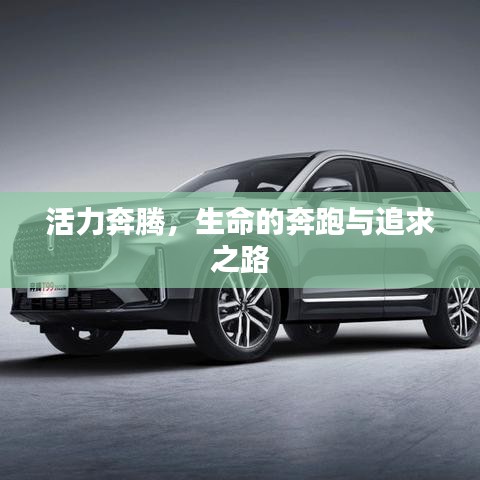 活力奔腾，生命的奔跑与追求之路