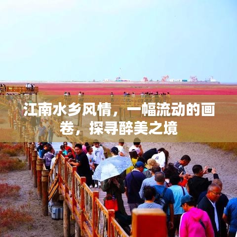 江南水乡风情，一幅流动的画卷，探寻醉美之境