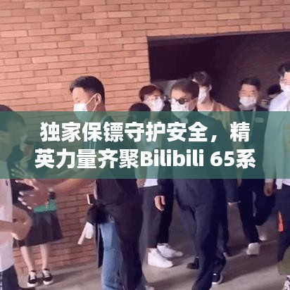 独家保镖守护安全，精英力量齐聚Bilibili 65系列