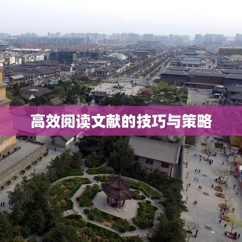 高效阅读文献的技巧与策略