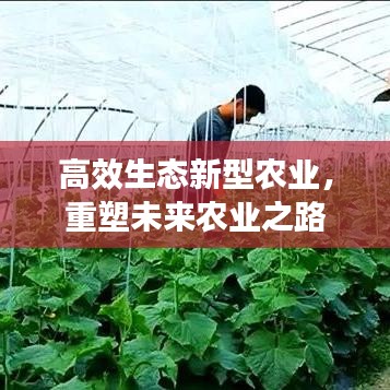 张牙舞爪