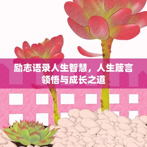 励志语录人生智慧，人生箴言领悟与成长之道