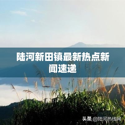 陆河新田镇最新热点新闻速递