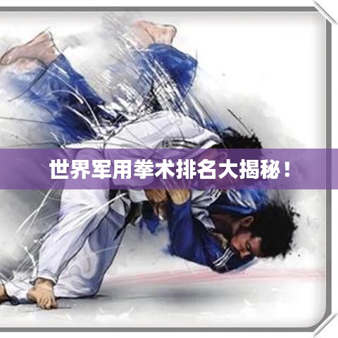 世界军用拳术排名大揭秘！