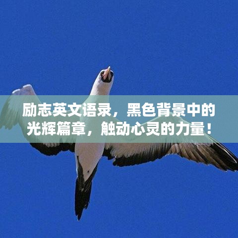 励志英文语录，黑色背景中的光辉篇章，触动心灵的力量！