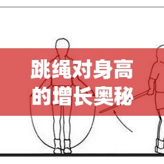 跳绳对身高的增长奥秘，科学运动助力身高飞跃发展！