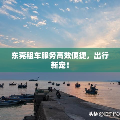 东莞租车服务高效便捷，出行新宠！