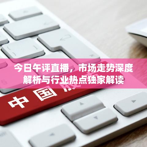 今日午评直播，市场走势深度解析与行业热点独家解读