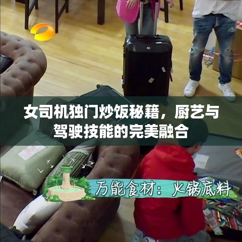 女司机独门炒饭秘籍，厨艺与驾驶技能的完美融合