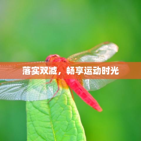 落实双减，畅享运动时光