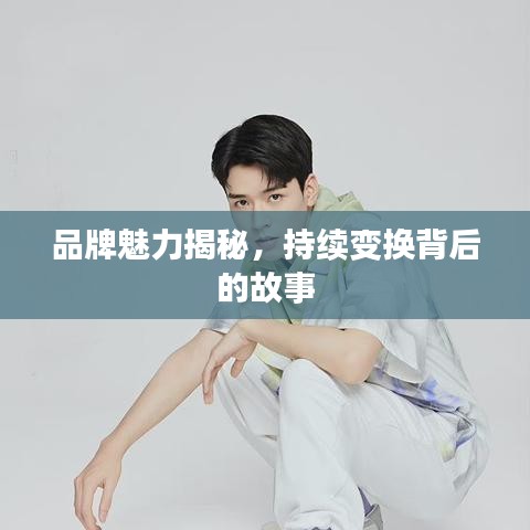 品牌魅力揭秘，持续变换背后的故事