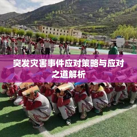 突发灾害事件应对策略与应对之道解析