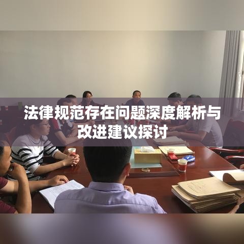 法律规范存在问题深度解析与改进建议探讨