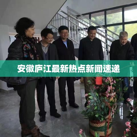 安徽庐江最新热点新闻速递