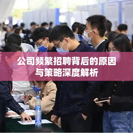 公司频繁招聘背后的原因与策略深度解析