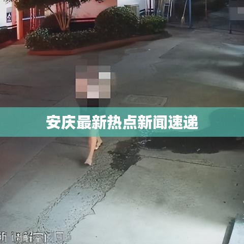 飞蛾扑火