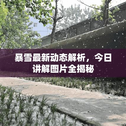 暴雪最新动态解析，今日讲解图片全揭秘