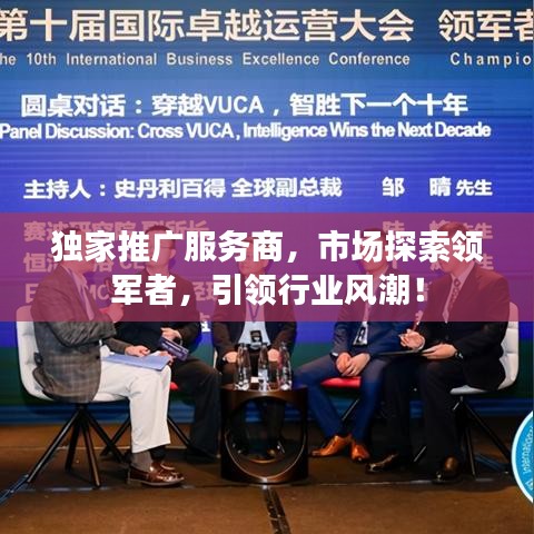 独家推广服务商，市场探索领军者，引领行业风潮！