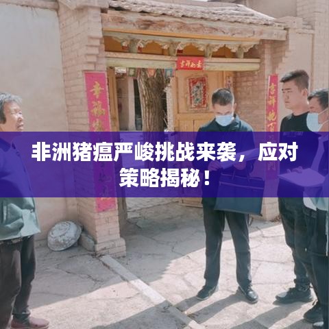 非洲猪瘟严峻挑战来袭，应对策略揭秘！