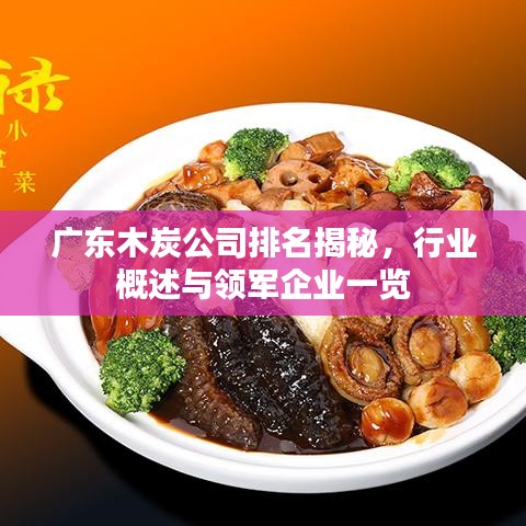 公司简介 第15页