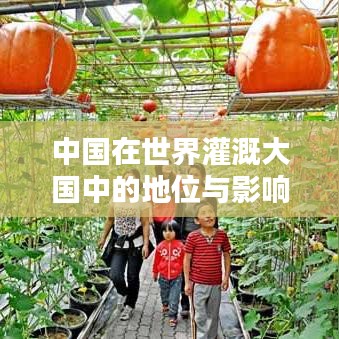 中国在世界灌溉大国中的地位与影响力解析