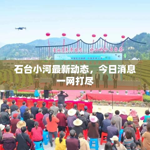 石台小河最新动态，今日消息一网打尽