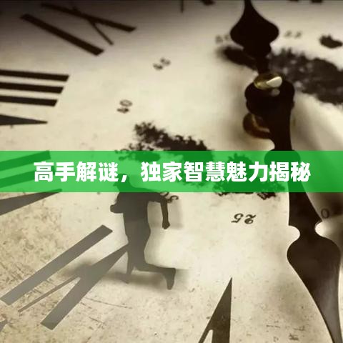 高手解谜，独家智慧魅力揭秘