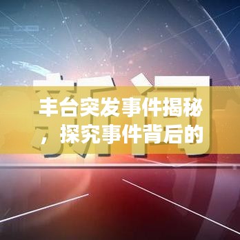 丰台突发事件揭秘，探究事件背后的真相