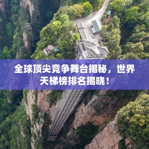 全球顶尖竞争舞台揭秘，世界天梯榜排名揭晓！