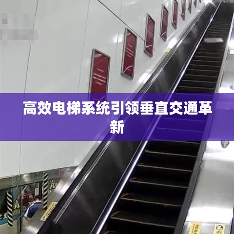 高效电梯系统引领垂直交通革新