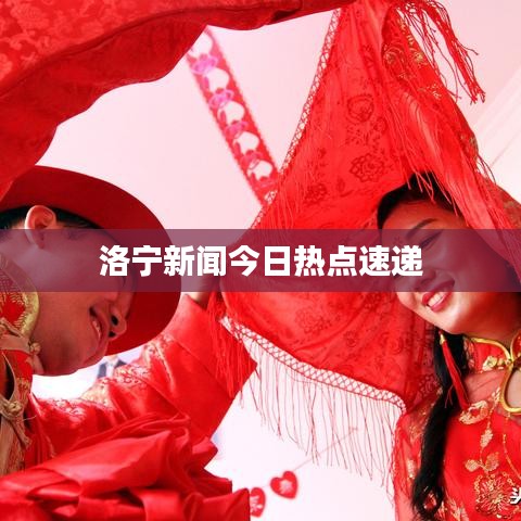 洛宁新闻今日热点速递