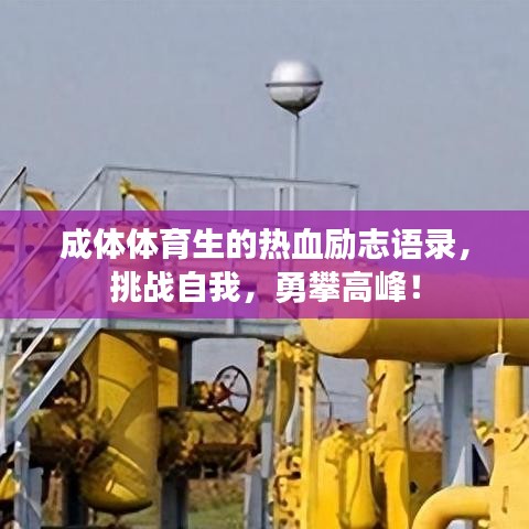 成体体育生的热血励志语录，挑战自我，勇攀高峰！