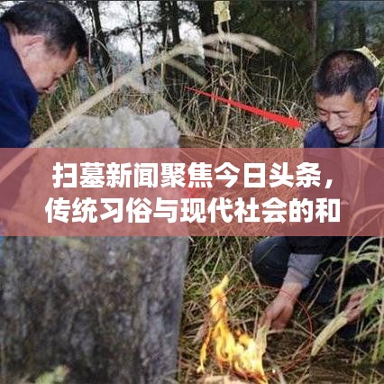 扫墓新闻聚焦今日头条，传统习俗与现代社会的和谐交融