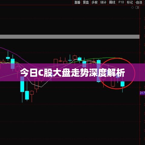 今日C股大盘走势深度解析