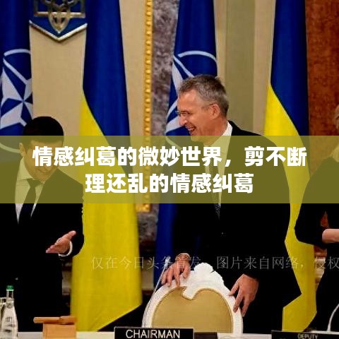 情感纠葛的微妙世界，剪不断理还乱的情感纠葛