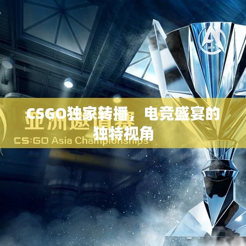 CSGO独家转播，电竞盛宴的独特视角