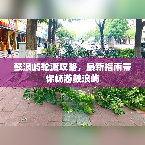 鼓浪屿轮渡攻略，最新指南带你畅游鼓浪屿