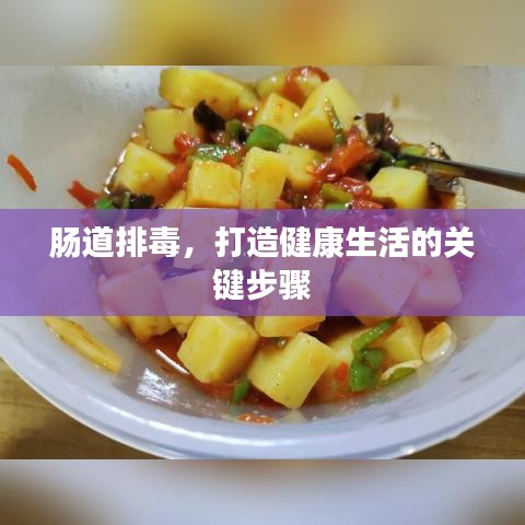 肠道排毒，打造健康生活的关键步骤