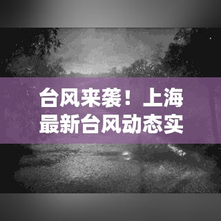 台风来袭！上海最新台风动态实时更新