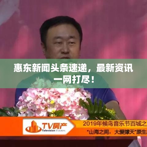 惠东新闻头条速递，最新资讯一网打尽！