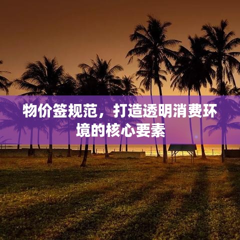物价签规范，打造透明消费环境的核心要素