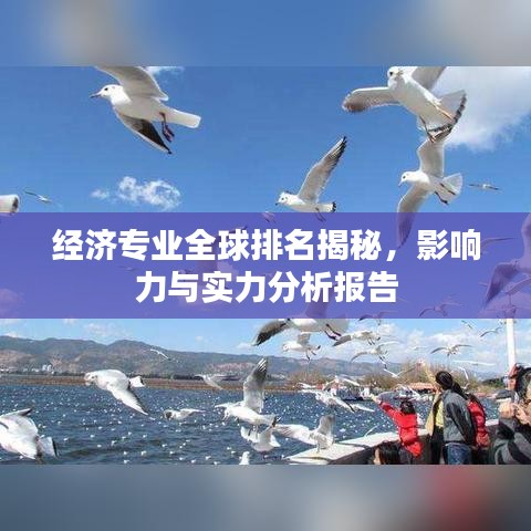 经济专业全球排名揭秘，影响力与实力分析报告