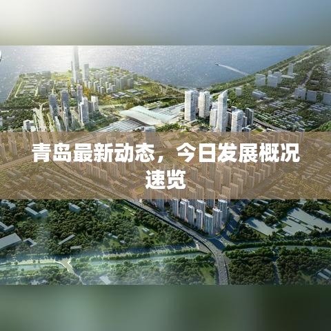 青岛最新动态，今日发展概况速览