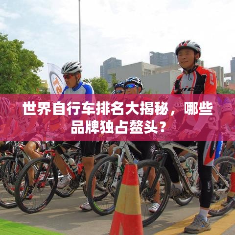 世界自行车排名大揭秘，哪些品牌独占鳌头？
