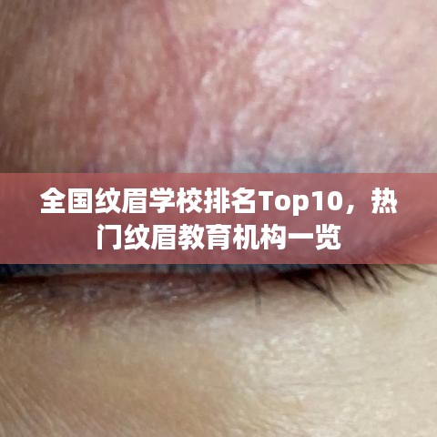全国纹眉学校排名Top10，热门纹眉教育机构一览