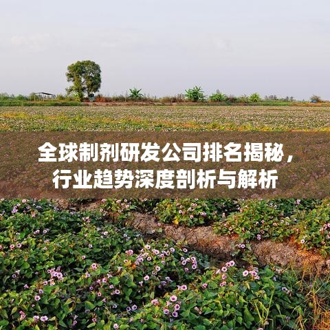 全球制剂研发公司排名揭秘，行业趋势深度剖析与解析