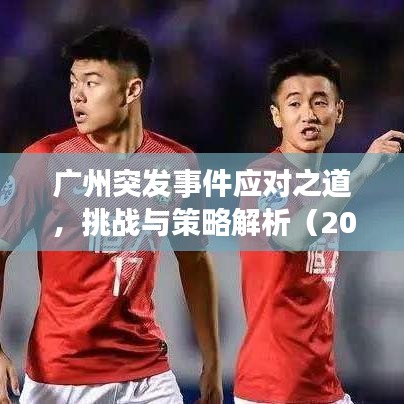 广州突发事件应对之道，挑战与策略解析（2016年）