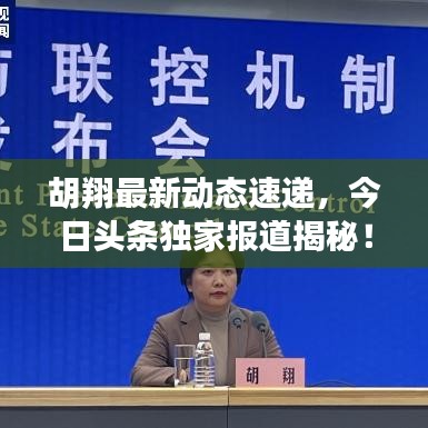 胡翔最新动态速递，今日头条独家报道揭秘！
