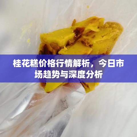 桂花糕价格行情解析，今日市场趋势与深度分析